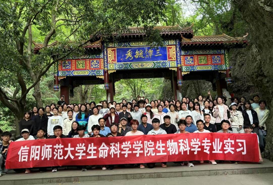 图示, 示意图 中度可信度描述已自动生成:ver1 图示, 示意图 中度可信度描述已自动生成:ver1